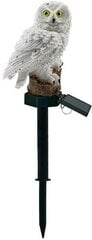 Садовый светильник с солнечной батареей Saska Garden Owl, 12x8x42 см цена и информация | Уличное освещение | 220.lv