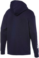 Puma Джемпер Rebel Bold FZ Hoody FL Blue цена и информация | Мужские толстовки | 220.lv