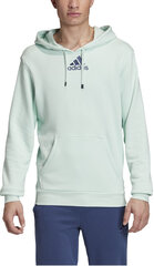 Adidas Джемпер cat Graph Hood Green цена и информация | Мужские толстовки | 220.lv