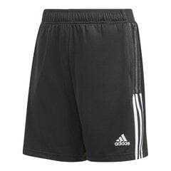 Adidas Шорты Tiro21 Tr Short Black GN2161 цена и информация | Шорты для мальчиков | 220.lv