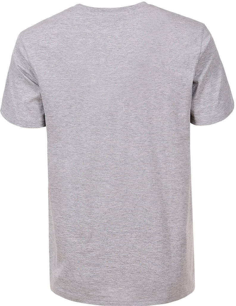 Glo Story T-Krekli Grey MPO 3103 MPO 3103/4XL cena un informācija | Vīriešu T-krekli | 220.lv