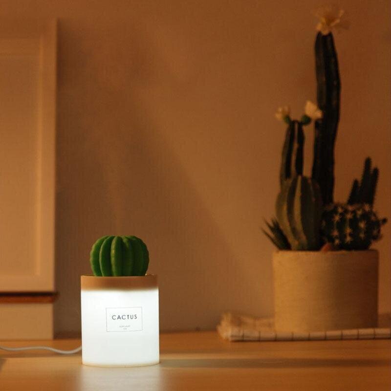 Ēterisko eļļu iztvaicētājs Cactus Humidifer 306B, 280ml, 50ml / H cena un informācija | Gaisa mitrinātāji | 220.lv