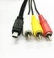 Mini-USB uz RCA kabelis Gopro HERO3 miniUSB (10 kontaktu)> CHINCH cena un informācija | Aksesuāri videokamerām | 220.lv