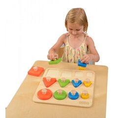 Koka bloku krāsu un izmēru šķirotājs cena un informācija | Attīstošās rotaļlietas | 220.lv