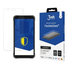 Blackview BV4900 - 3mk FlexibleGlass™ screen protector цена и информация | Защитные пленки для телефонов | 220.lv