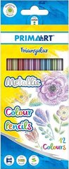 Карандаши METALLIC TRIANGULAR COLOUR PENCILS, 12 цветов цена и информация | Канцелярия | 220.lv