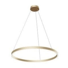 Pendant Lamp Rim цена и информация | Потолочные светильники | 220.lv