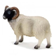 Mojo - Black Faced Sheep cena un informācija | Rotaļlietas zēniem | 220.lv