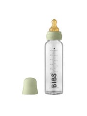 BIBS Stikla Barošanas Pudelīte 225ml (Sage) 0+ mēn cena un informācija | Bērnu pudelītes un to aksesuāri | 220.lv