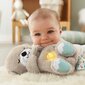 Fisher-Price rotaļlieta miegam Ūdrēns cena un informācija | Mīkstās (plīša) rotaļlietas | 220.lv