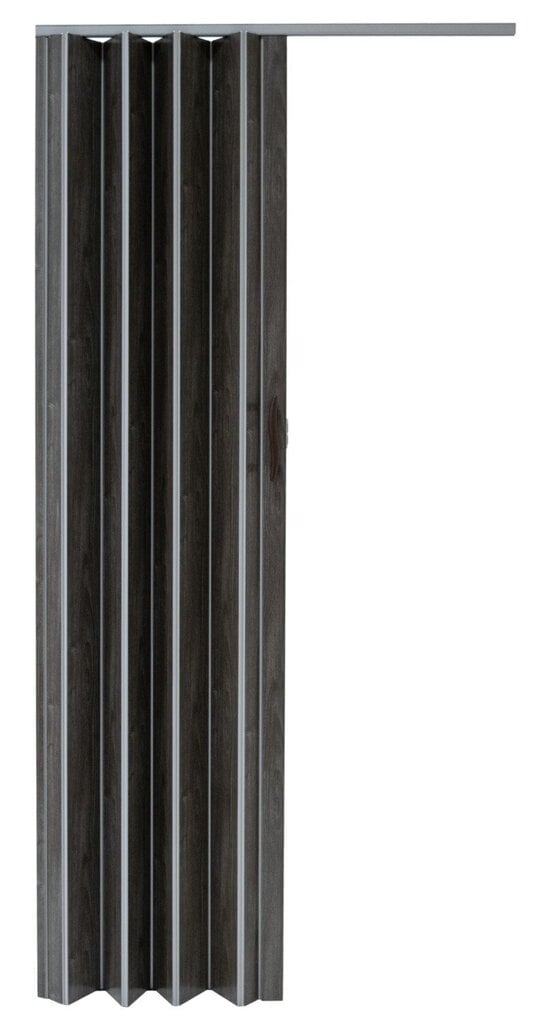 Salokāmās durvis 001P-64-80, ozolkoka grafīts matēts 80 cm cena un informācija | Iekšdurvis | 220.lv