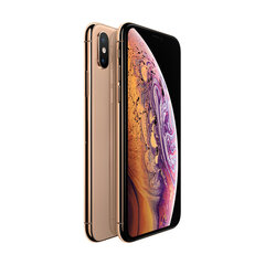 iPhone XS, 256 GB Gold (lietots, stāvoklis A) cena un informācija | Mobilie telefoni | 220.lv