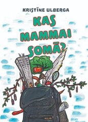 Kas mammai somā цена и информация | Книги для малышей | 220.lv