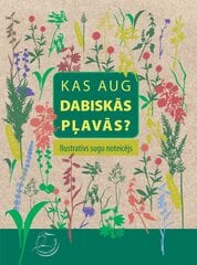 Kas aug dabiskās pļavās / Kas dzīvo dabiskās pļavās цена и информация | Энциклопедии, справочники | 220.lv