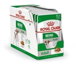 Royal Canin Karma ROYAL CANIN SHN Mini Adult w sosie 12X85G цена и информация | Консервы для собак | 220.lv