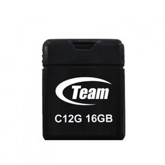 Накопитель TEAMGROUP TC12G16GB01 цена и информация | USB накопители | 220.lv