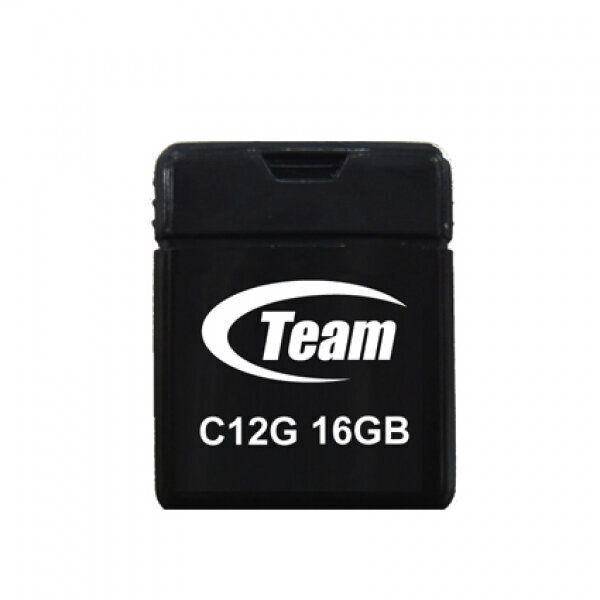 TEAMGROUP TC12G16GB01 цена и информация | USB Atmiņas kartes | 220.lv