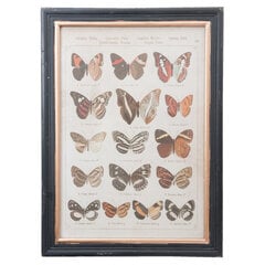 Картина «Бабочки», 40х2х55 см цена и информация | Картины | 220.lv
