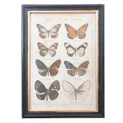 Картина «Бабочки» цена и информация | Картины | 220.lv