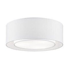 Griestu lampa Maytoni Modern baltā krāsā ar pelēkām detaļām MOD617CL-04GR cena un informācija | Griestu lampas | 220.lv