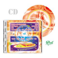 CD Vasaras Vispopulārākā Dziesmu Izlase Nr. 5 цена и информация | Виниловые пластинки, CD, DVD | 220.lv