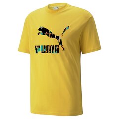 Mужская футболка Puma HC Graphic 4064535463828 цена и информация | Футболки мужские | 220.lv