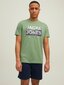 JACK & JONES vīriešu T-krekls 12210420*04, zaļš/bēšs 5715223256350 цена и информация | Vīriešu T-krekli | 220.lv