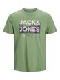 JACK & JONES vīriešu T-krekls 12210420*04, zaļš/bēšs 5715223256350