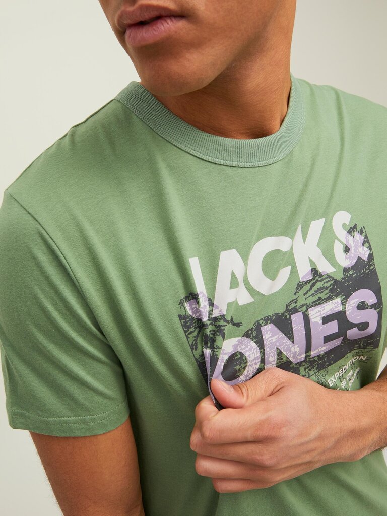 JACK & JONES vīriešu T-krekls 12210420*04, zaļš/bēšs 5715223256350 цена и информация | Vīriešu T-krekli | 220.lv