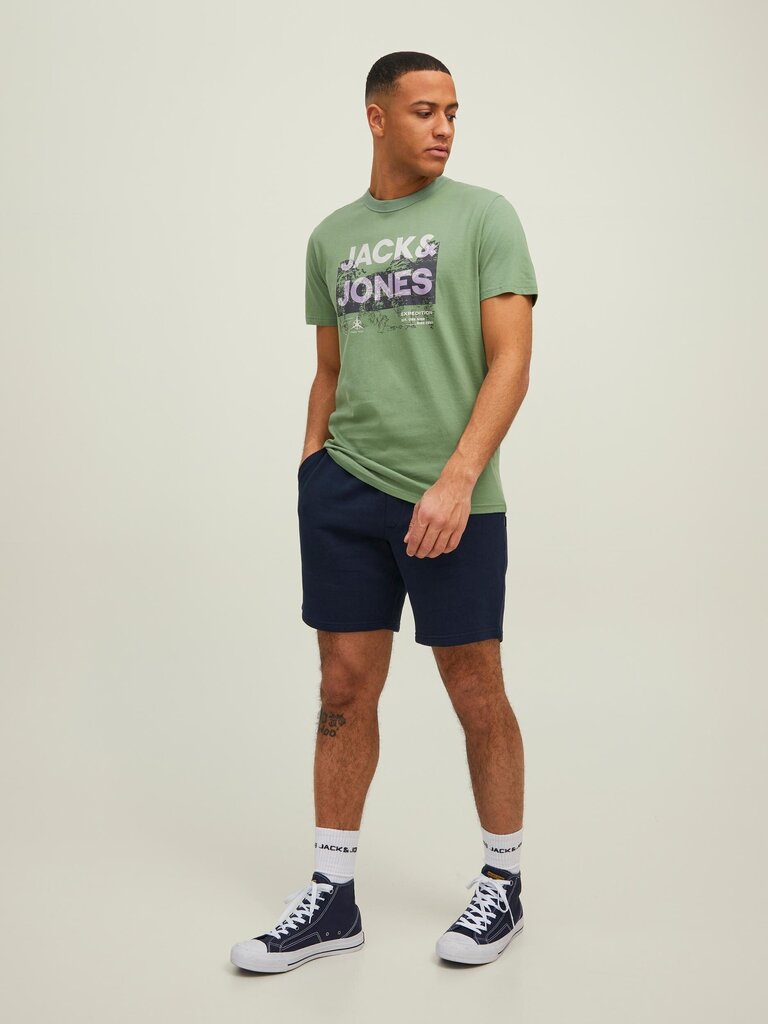 JACK & JONES vīriešu T-krekls 12210420*04, zaļš/bēšs 5715223256350 цена и информация | Vīriešu T-krekli | 220.lv