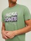 JACK & JONES vīriešu T-krekls 12210420*04, zaļš/bēšs 5715223256350 цена и информация | Vīriešu T-krekli | 220.lv