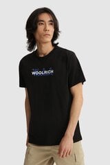 Мужская футболка WOOLRICH CFWOTE0048MRUT1486-100-XXL цена и информация | Мужские футболки | 220.lv