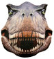 Splat Planet spilvens Dinozaurs SP44747 цена и информация | Dekoratīvie spilveni un spilvendrānas | 220.lv
