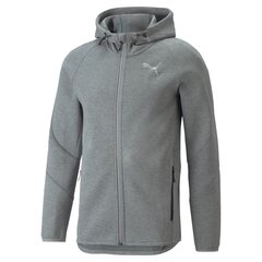 Puma vīriešu sporta jaka Evostripe 847401*03, pelēka 4064535878097 цена и информация | Мужская спортивная одежда | 220.lv