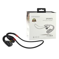 Наушники BLUETOOTH FINEBLUE MAX SPORT 300 M3 BLACK CHANNEL IN-EAR HEADPHONES цена и информация | Наушники | 220.lv