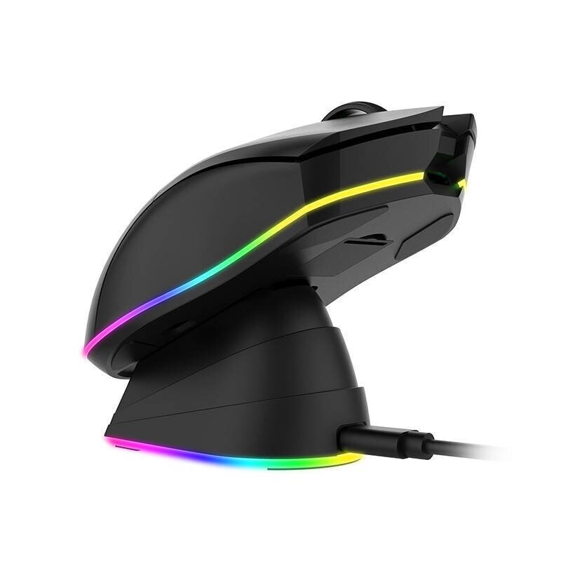 Wireless gaming mouse + charging dock Dareu EM901X 2.4G (black) цена и информация | Peles | 220.lv