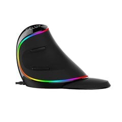 Wired Vertical Mouse Delux M618Plus 4000DPI RGB cena un informācija | Peles | 220.lv