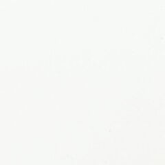 Фольга глянцевая, белая, 1,52х30м цена и информация | Самоклеящиеся пленки | 220.lv