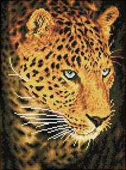 Dimantu mozaīka Leopard portrait 40X30 cm cena un informācija | Dimantu mozaīkas | 220.lv