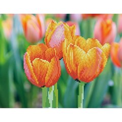 Алмазная мозаика Love Tulips 27x35 см цена и информация | Алмазная мозаика | 220.lv