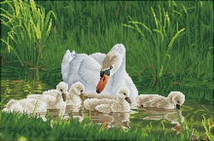 Dimantu mozaīka Mother swan signets 41x62 cm cena un informācija | Dimantu mozaīkas | 220.lv