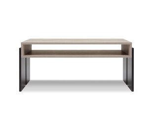 Kafijas galdiņš BSL Concept Zoie, 100x60x45 cm, melns/brūns cena un informācija | BSL Concept Mēbeles un interjers | 220.lv