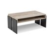 Kafijas galdiņš BSL Concept Zoie, 100x60x45 cm, melns/brūns cena un informācija | Žurnālgaldiņi | 220.lv