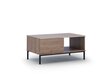 Kafijas galdiņš BSL Concept Query, 100x60x47 cm, brūns cena un informācija | Žurnālgaldiņi | 220.lv