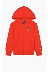 Детская толстовка Champion 305785-RS033-XXL цена и информация | Свитеры, жилетки, пиджаки для мальчиков | 220.lv