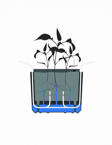 Balkona puķu pods ar pašlaistīšanas sistēmu, 60 l, 55x55 cm, Berberis 55 antracīts/zaļš cena un informācija | Balkona kastes | 220.lv