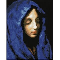 Dimantu mozaīka The blue Madonna 35x45 cm цена и информация | Алмазная мозаика | 220.lv