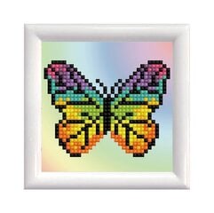 Dimantu mozaīka Rainbow butterfly DD Kit with frame cena un informācija | Dimantu mozaīkas | 220.lv