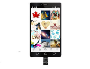 Silicon Power Mobile 64ГБ цена и информация | USB накопители | 220.lv