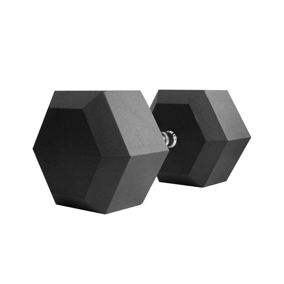 Gumijas hantele Thorn + Fit HEXHEAD DUMBBELLS HEX 25 kg cena un informācija | Svari, hanteles, stieņi | 220.lv